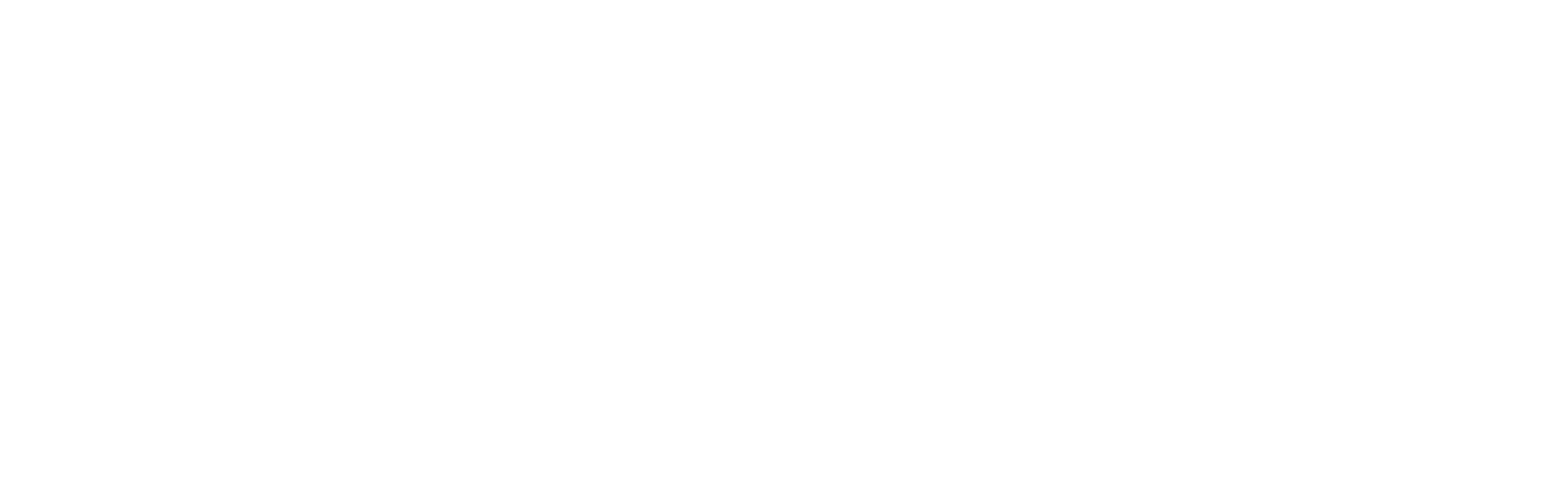 The Foundation of Community Hospice and Palliative Care logo